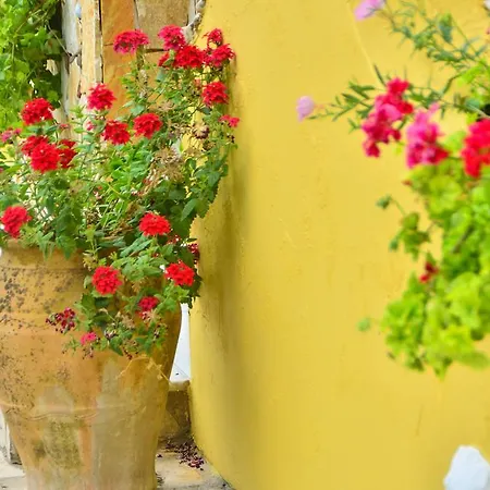 Apartament Kapases &